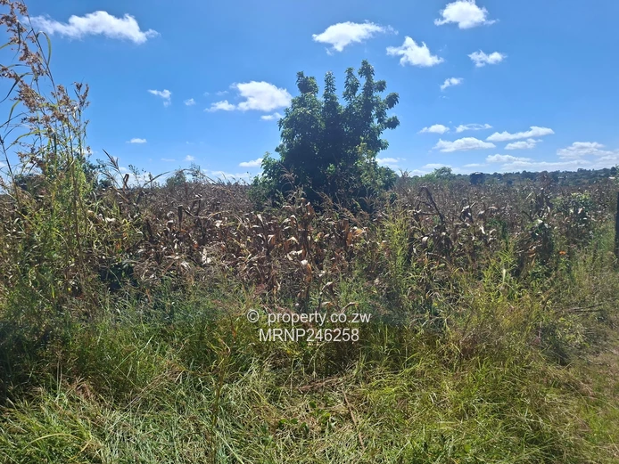 Ngezi Plots for sale