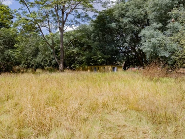 Land