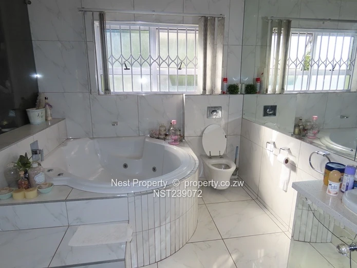 Location - 6 Bedroom House in Alexandra Park!