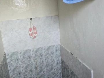 Flat & Apartment