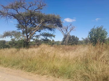 Stands & Residential Land