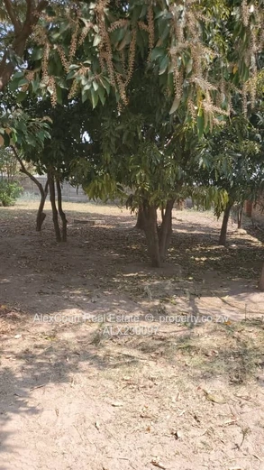 Investment! Land With A Dilapidated House!