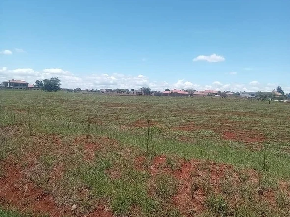 Stands & Residential Land