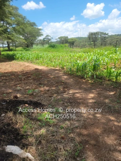 Glenforest agro residential plot 