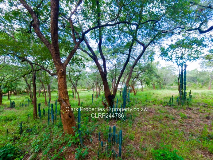 Prime 4,000sqm Residential Stand in Kadoma