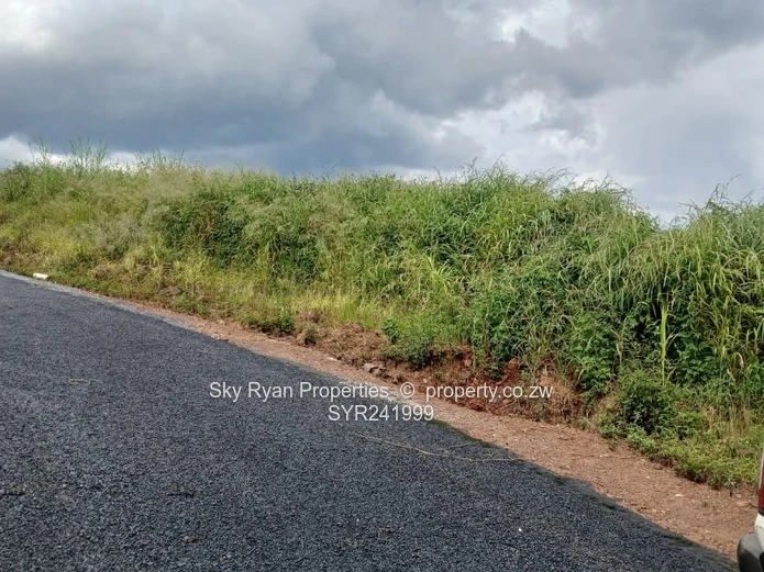 Pomona Nyeredzi Ridge Stand For Sale 