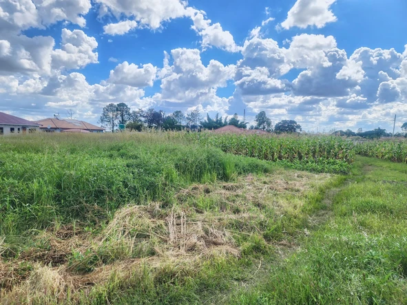 Stands & Residential Land