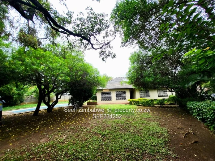 Spacious 4-Bedroom Family Home in Marlborough Needing TLC!