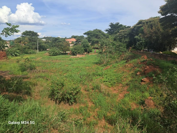 Stands & Residential Land