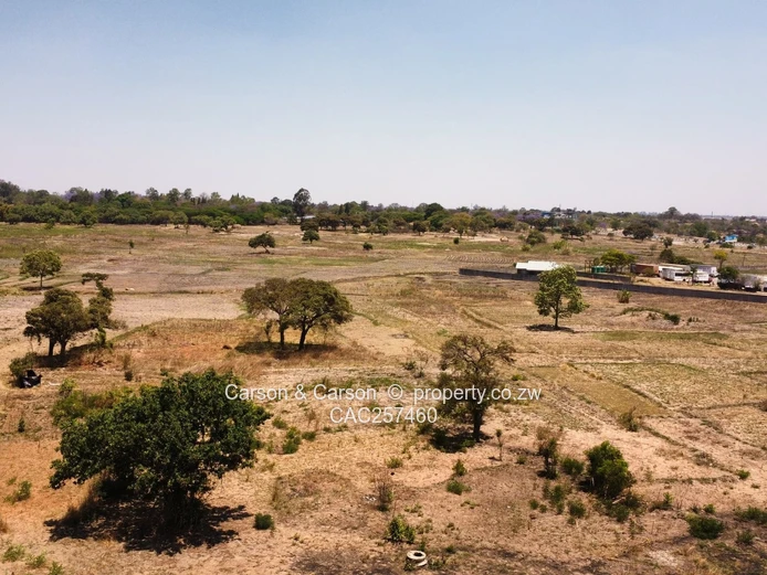 Commercial Stands -Airport Road Frontage 