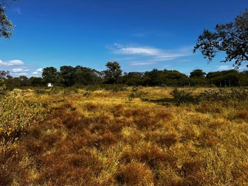 Farm & Agricultural Land