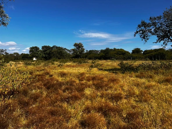 Farm & Agricultural Land