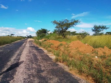 Stands & Residential Land