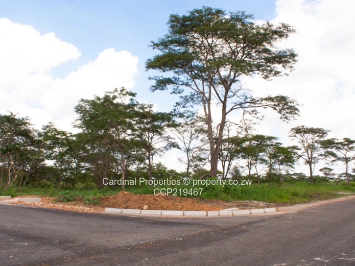 Bridgewood – Premium Mixed-Use Development in Gweru, Zimbabwe