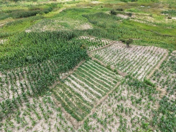 Commercial & Industrial Land