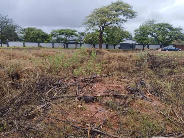 Stands & Residential Land