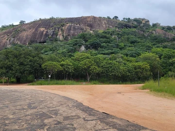 Commercial & Industrial Land