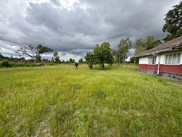 Farm & Agricultural Land