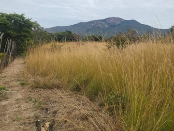 Plot In Vumba