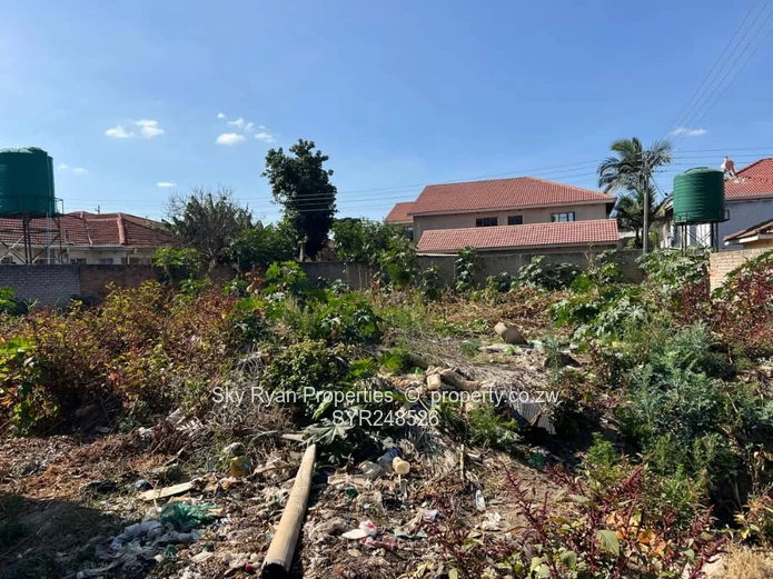 Old Zimre Park Stand For Sale