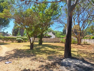 Stands & Residential Land