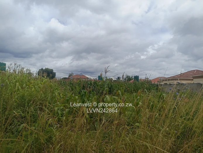 Goodhope Stand For Sale 