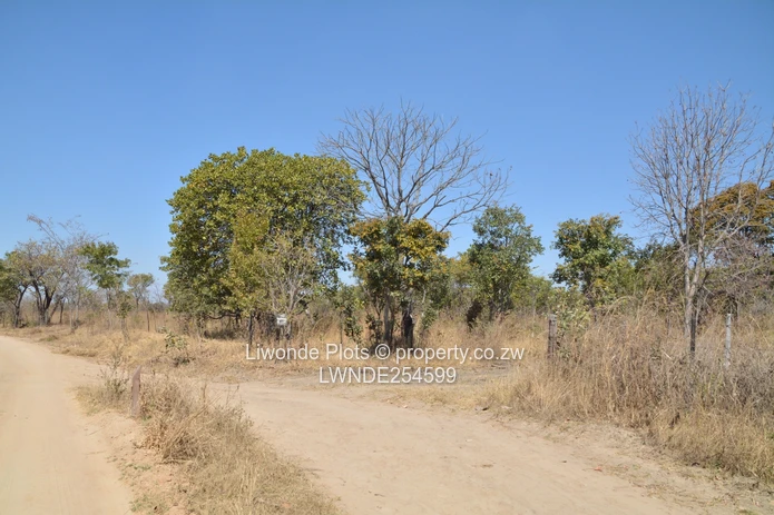 1ha Goromonzi Farm — Arable Field by Gravel Main Road