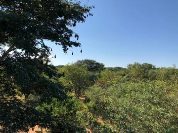 Land