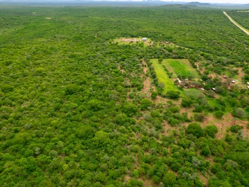 Farm & Agricultural Land