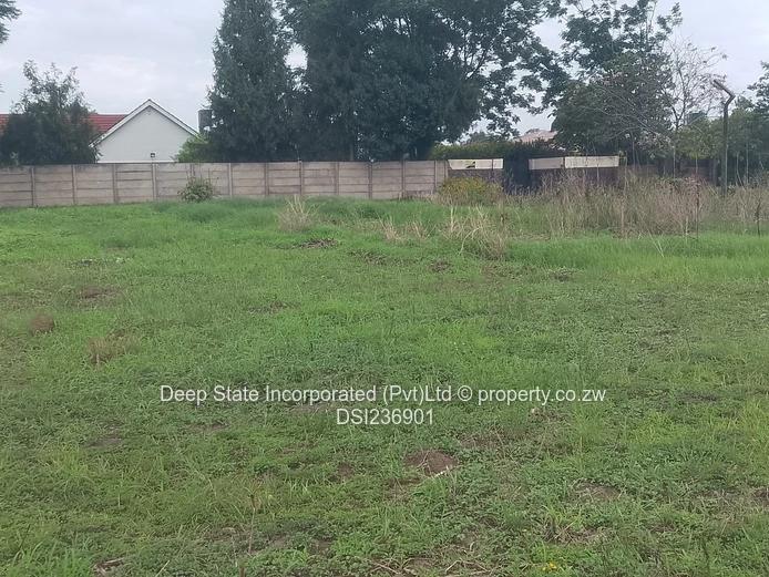 Marlborough stand for sale 