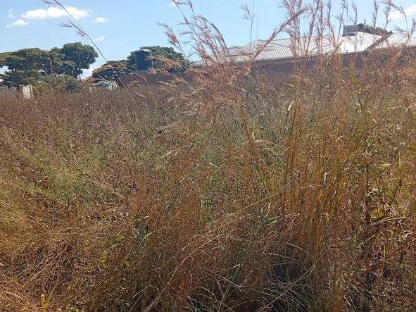 Commercial & Industrial Land