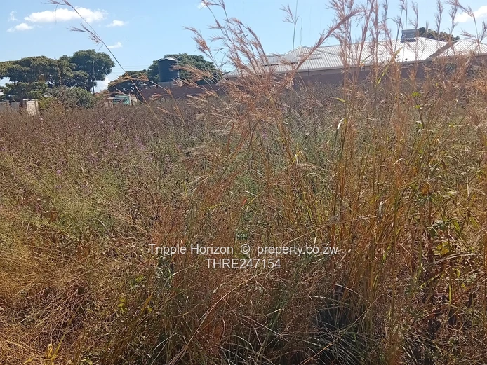 Prime 1600m² Commercial Lot  in Evelengus Damofalls with Main Road Frontage