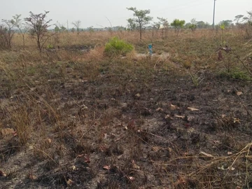 Farm & Agricultural Land