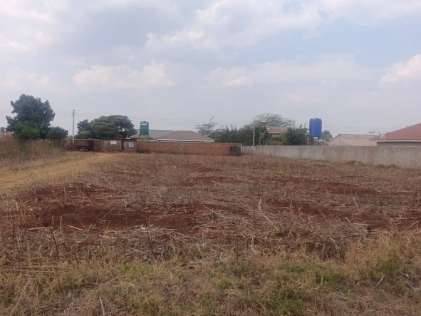 Stands & Residential Land