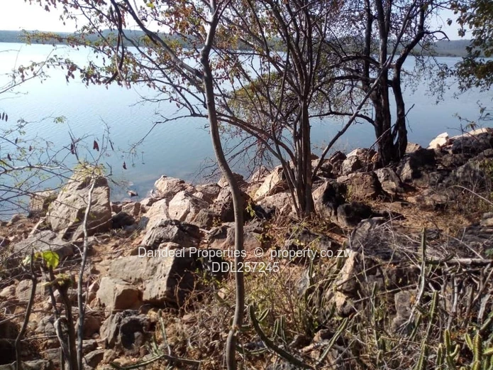 Prime 2ha Zambezi-Front Commercial Land in Binga