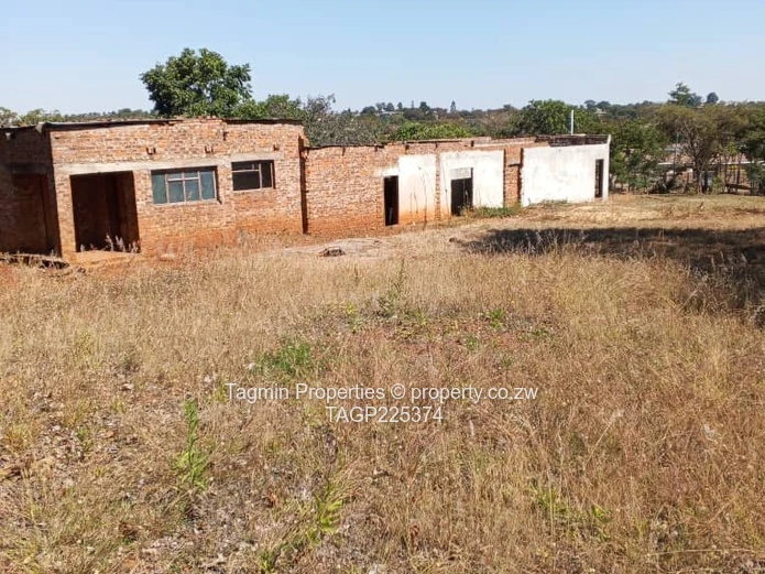 Shawasha hills stand
