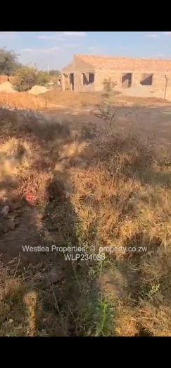 An opportunity not to miss