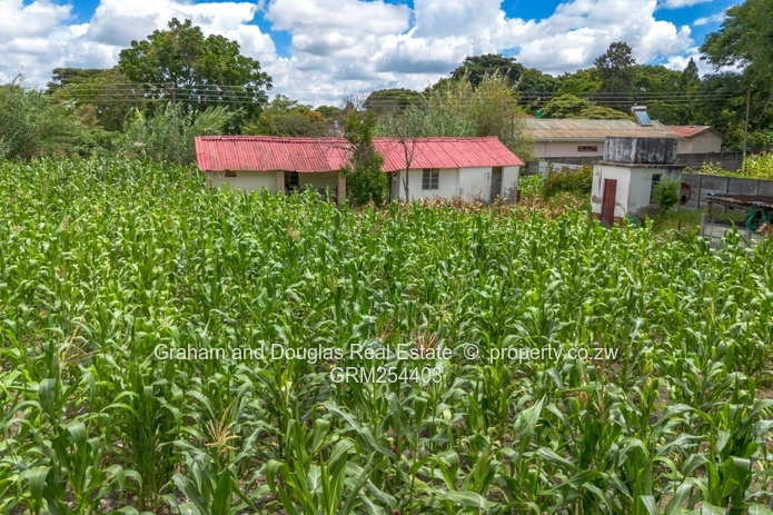 Greendale Athlone subdivision stand for sale