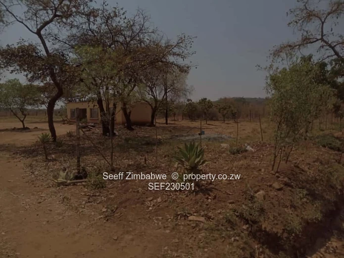 313 sqm Stand for Sale in Rusununguko, Chinhoyi