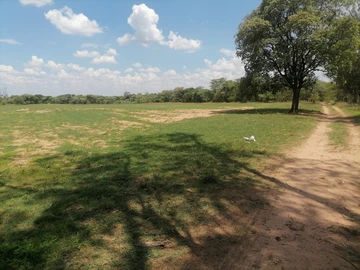 Farm & Agricultural Land