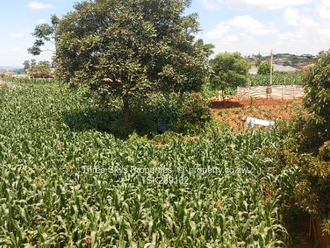 2200Sqm Stand For Sale 