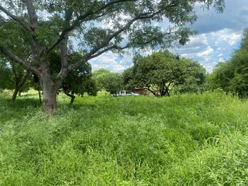 Farm & Agricultural Land