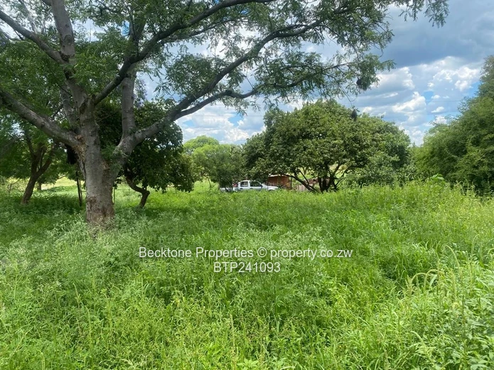 Prime Cattle Ranch: 809ha, 46km Bulawayo