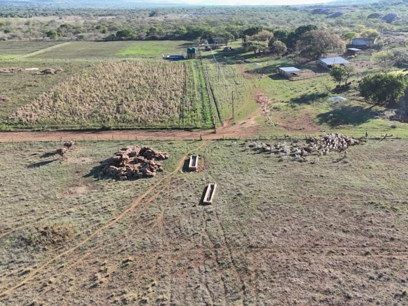 Farm & Agricultural Land