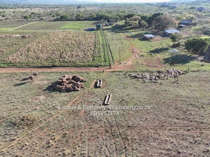 Plots for sale