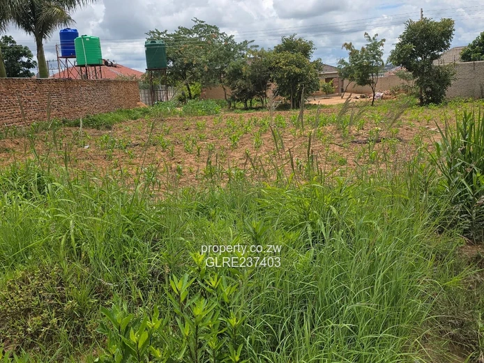 Rockview stand for sale! 