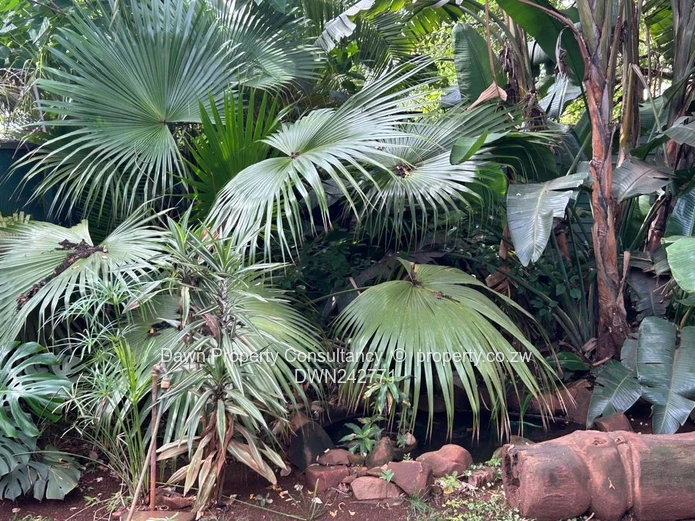 Charming 2-Bedroom apartment in Avondale Harare with a beautiful Garden