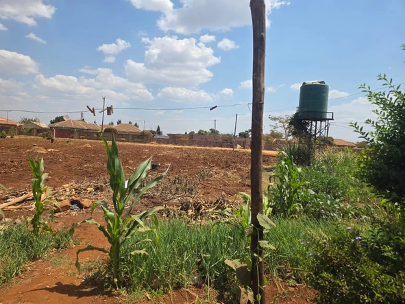 Stands & Residential Land