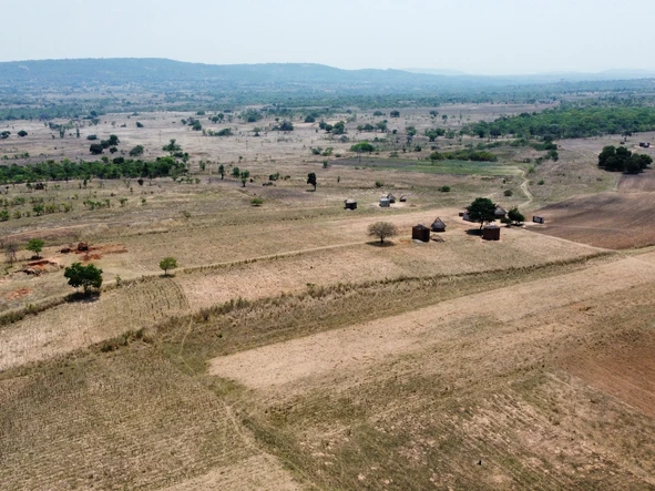 Farm & Agricultural Land