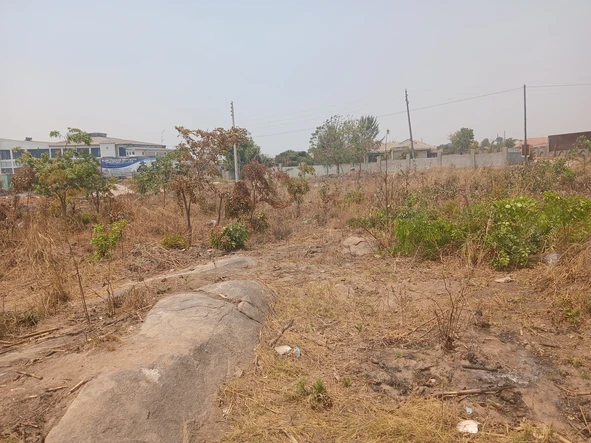 Stands & Residential Land